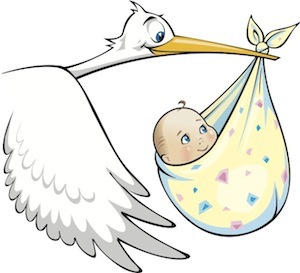 Stork-Baby_logo copy